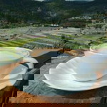 bowparnpitak profile icon