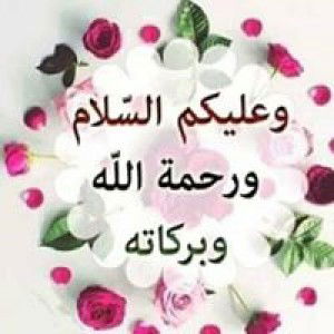 Lusi Anna Lusi profile icon