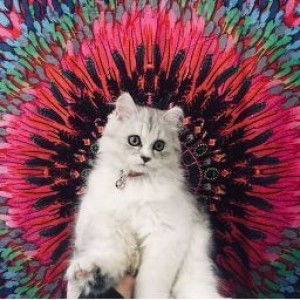 Nindya Prisanti profile icon