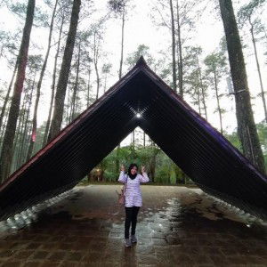 Anisa Dwi Yanti profile icon