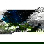 Nur Malini profile icon