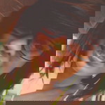Dane Bonife profile icon