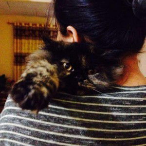 Vinandini Kitchen profile icon