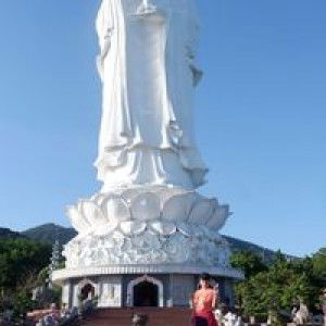 Trang Nguyễn profile icon