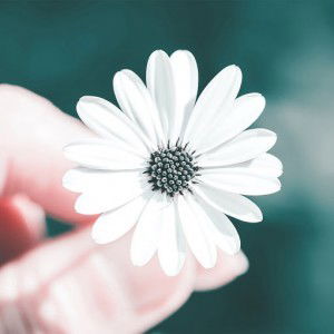 sirirat noon profile icon