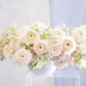 Rizqia Indriani profile icon