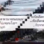 Annynomal Chichi profile icon