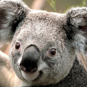 Estelle Lumis profile icon