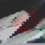 suerazzalyszaa profile icon