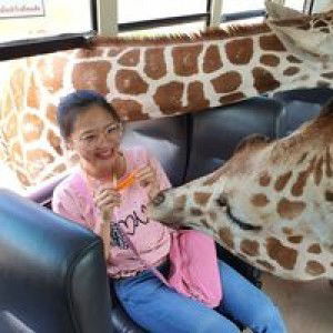 Gift Pink profile icon