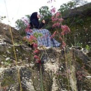 Milatus Sholihah profile icon