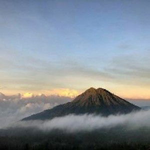 Sulung Darmawati profile icon