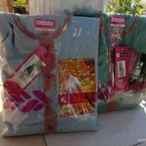 RavinaFirdaus profile icon