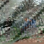 Rosy Armalinda profile icon