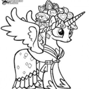 Maya Anantha profile icon