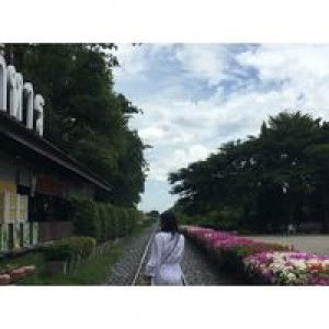 Pahn Thitiporn profile icon