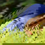 Nabila Putri profile icon