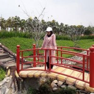 Lusy Adellia profile icon