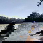 Suci Reny profile icon