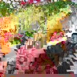 Lufi Aisyifa profile icon