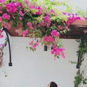 Selvira profile icon