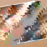 Nur Asmira profile icon
