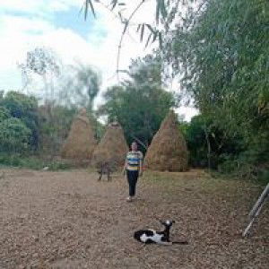 Joy R. Adaya profile icon