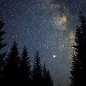 Mutiara Firdausy profile icon