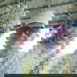 Shafa Salsabil profile icon