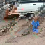 Yayayingsiriwan Meephan profile icon