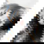 Pat Pat profile icon