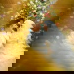 Atin Amera profile icon