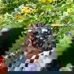 Dyan Anggraenny profile icon