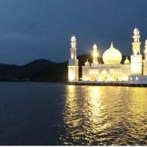 Mery Andriyani S profile icon