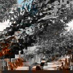 Liyanpradini profile icon