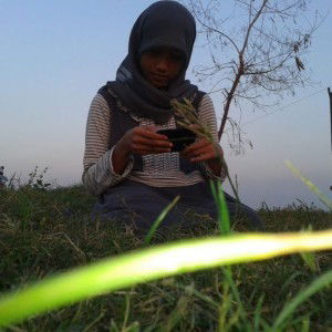 MimaFae profile icon