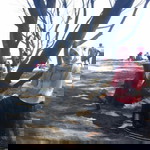 idaLutfiah Harmoko profile icon