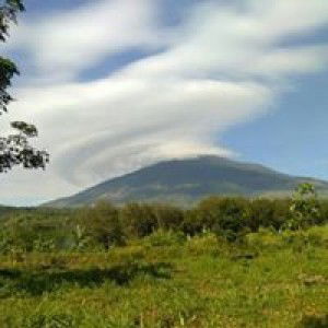 Dian Islamiyati profile icon