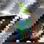 Ratnasary Tiya profile icon