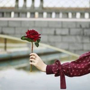 Indri Setya profile icon