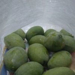 Githa Cuanthik profile icon