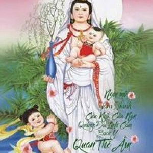 Đậu Tính profile icon