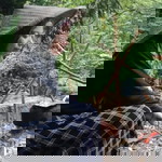 Reiza Fit profile icon