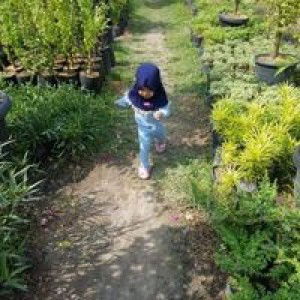 Trianna Fransiska Maulana profile icon