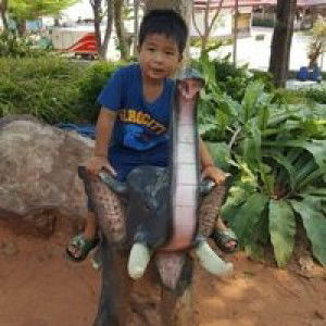 ฐิติมา แก้วพินิจ profile icon