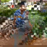 ฐิติมา แก้วพินิจ profile icon