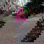 Siti Hajar profile icon