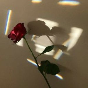 Ridana Ramadhany profile icon