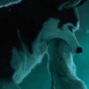 clarissa beatrice jokimin profile icon