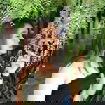Jarintorn Boonnoon profile icon